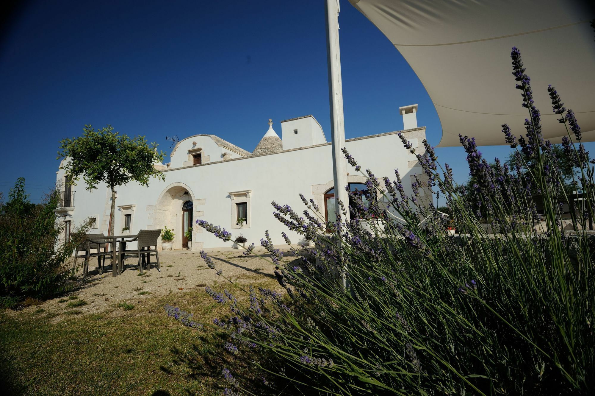 Agriturismo Arco Di Sole Alberobello Buitenkant foto