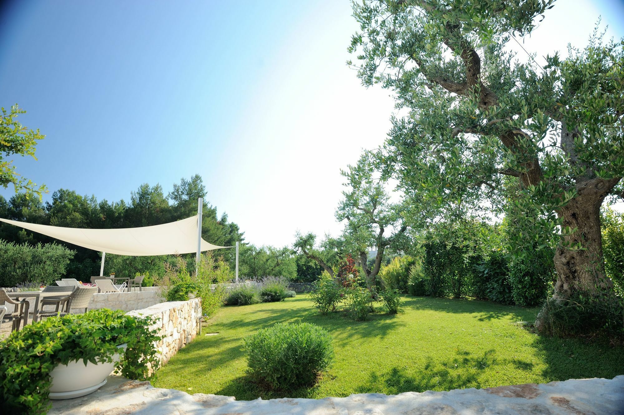 Agriturismo Arco Di Sole Alberobello Buitenkant foto